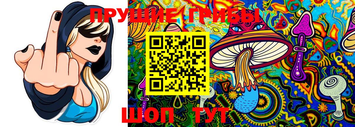 Белорецк  Псилоцибиновые грибы мицелий  Вход с VPN  Псилоцибиновые грибы Cubensis 